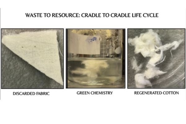 Lab beakers with liquid and cotton fibers