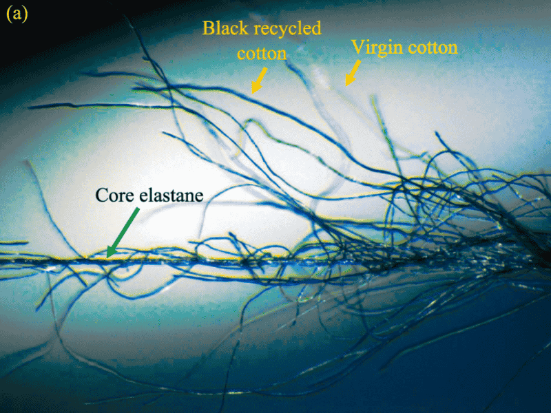Image of fabric sample tagged with a technology name like Lycra EcoMade